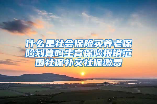 什么是社會(huì)保險(xiǎn)買養(yǎng)老保險(xiǎn)劃算嗎生育保險(xiǎn)報(bào)銷范圍社保補(bǔ)交社保繳費(fèi)