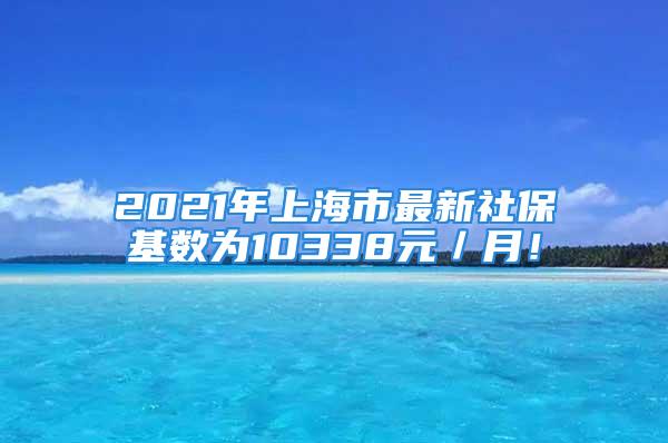 2021年上海市最新社?；鶖?shù)為10338元／月！