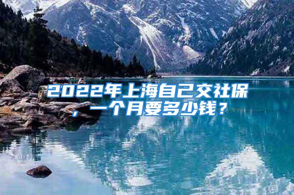 2022年上海自己交社保，一個月要多少錢？