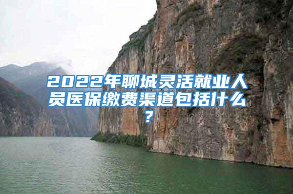 2022年聊城靈活就業(yè)人員醫(yī)保繳費(fèi)渠道包括什么？