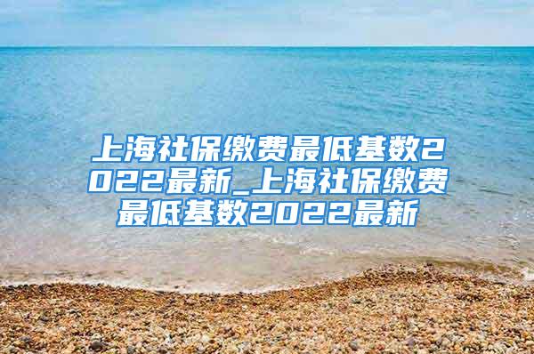 上海社保繳費(fèi)最低基數(shù)2022最新_上海社保繳費(fèi)最低基數(shù)2022最新