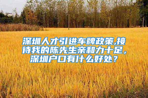 深圳人才引進(jìn)車牌政策,接待我的陳先生親和力十足，深圳戶口有什么好處？