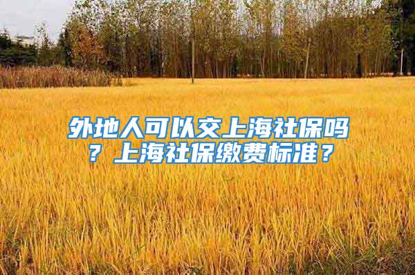 外地人可以交上海社保嗎？上海社保繳費標(biāo)準(zhǔn)？