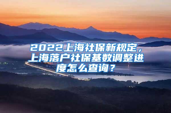 2022上海社保新規(guī)定，上海落戶社?；鶖?shù)調整進度怎么查詢？