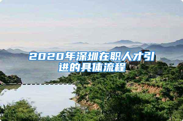 2020年深圳在職人才引進(jìn)的具體流程