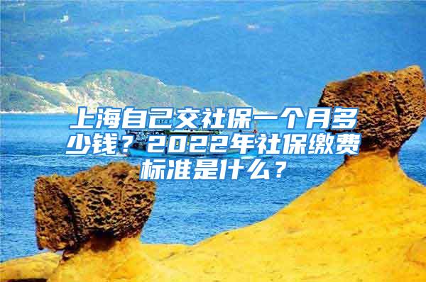 上海自己交社保一個(gè)月多少錢？2022年社保繳費(fèi)標(biāo)準(zhǔn)是什么？