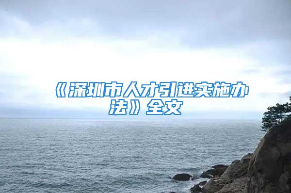 《深圳市人才引進(jìn)實(shí)施辦法》全文