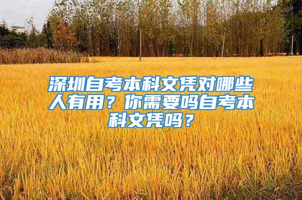 深圳自考本科文憑對(duì)哪些人有用？你需要嗎自考本科文憑嗎？