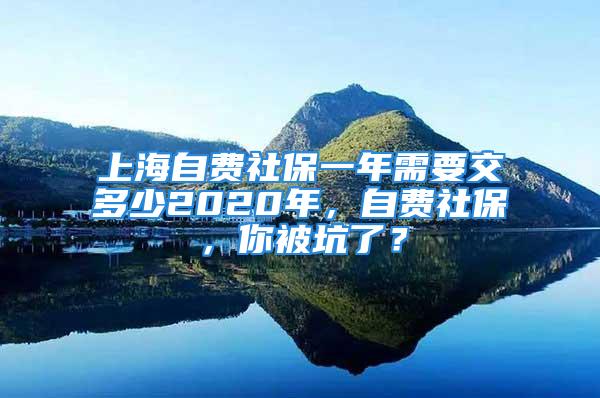 上海自費社保一年需要交多少2020年，自費社保，你被坑了？