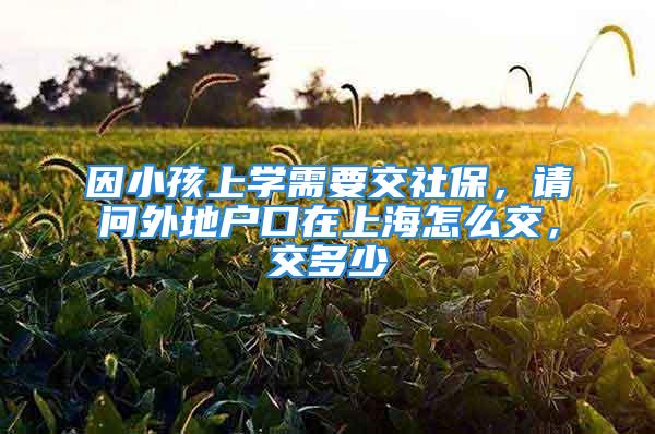 因小孩上學(xué)需要交社保，請(qǐng)問外地戶口在上海怎么交，交多少