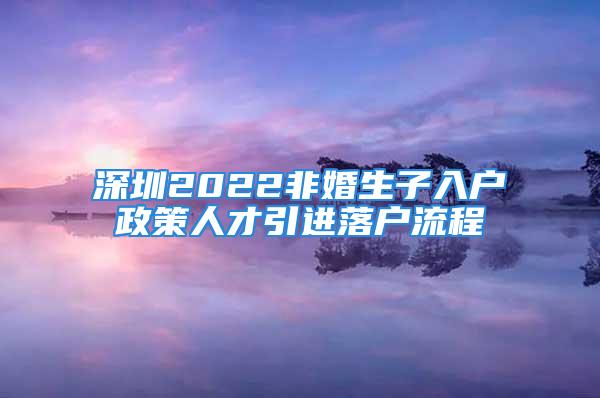 深圳2022非婚生子入戶政策人才引進(jìn)落戶流程