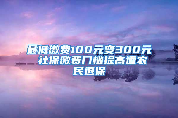 最低繳費(fèi)100元變300元 社保繳費(fèi)門(mén)檻提高遭農(nóng)民退保