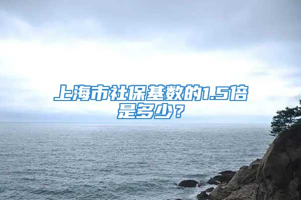 上海市社?；鶖档?.5倍是多少？