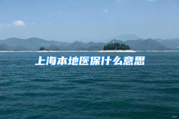 上海本地醫(yī)保什么意思