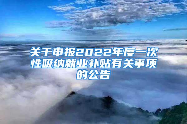 關(guān)于申報2022年度一次性吸納就業(yè)補貼有關(guān)事項的公告