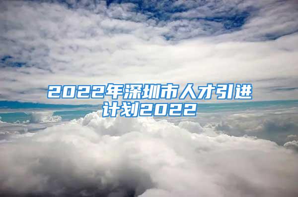 2022年深圳市人才引進(jìn)計(jì)劃2022