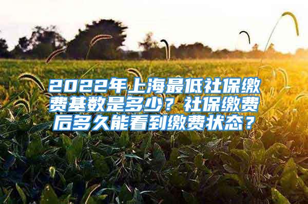 2022年上海最低社保繳費(fèi)基數(shù)是多少？社保繳費(fèi)后多久能看到繳費(fèi)狀態(tài)？