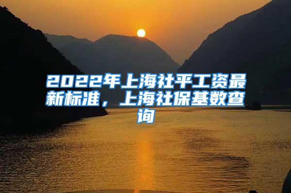 2022年上海社平工資最新標(biāo)準(zhǔn)，上海社?；鶖?shù)查詢