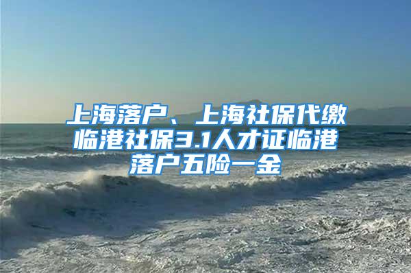 上海落戶、上海社保代繳臨港社保3.1人才證臨港落戶五險一金