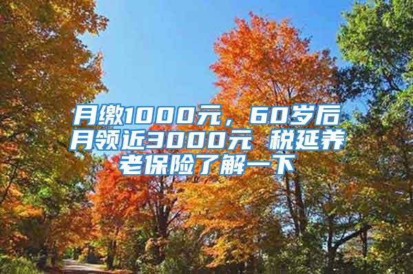 月繳1000元，60歲后月領(lǐng)近3000元 稅延養(yǎng)老保險了解一下