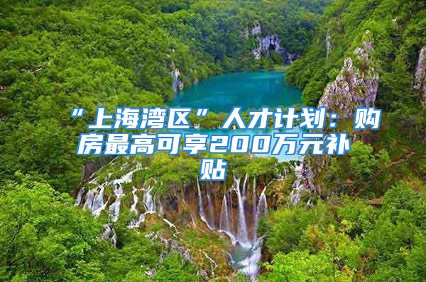 “上海灣區(qū)”人才計劃：購房最高可享200萬元補貼