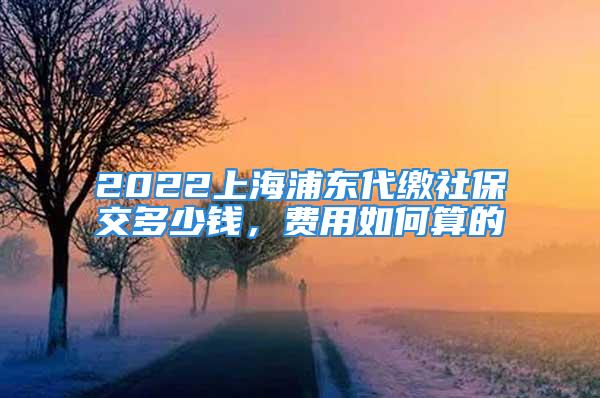 2022上海浦東代繳社保交多少錢，費(fèi)用如何算的