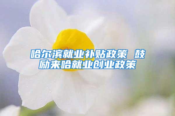 哈爾濱就業(yè)補(bǔ)貼政策 鼓勵來哈就業(yè)創(chuàng)業(yè)政策