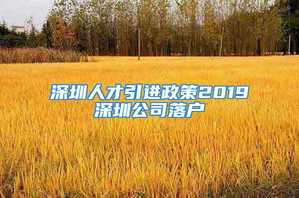 深圳人才引進政策2019深圳公司落戶