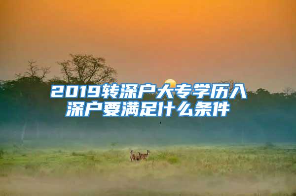 2019轉(zhuǎn)深戶大專學(xué)歷入深戶要滿足什么條件