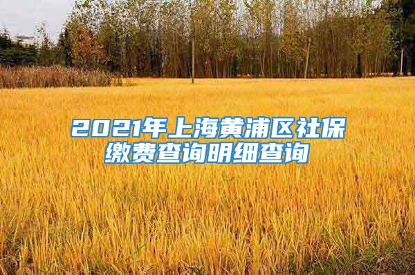 2021年上海黃浦區(qū)社保繳費(fèi)查詢明細(xì)查詢