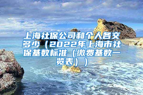 上海社保公司和個人各交多少（2022年上海市社?；鶖?shù)標準（繳費基數(shù)一覽表））