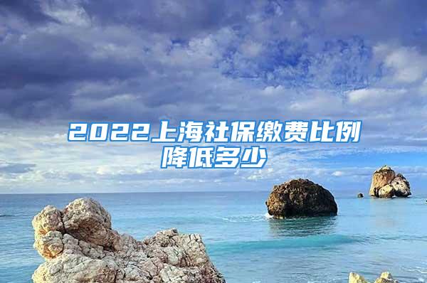 2022上海社保繳費(fèi)比例降低多少