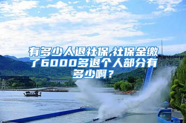 有多少人退社保,社保金繳了6000多退個(gè)人部分有多少??？