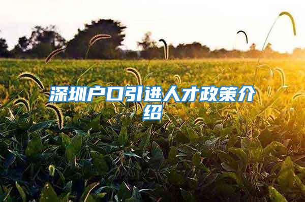 深圳戶口引進(jìn)人才政策介紹