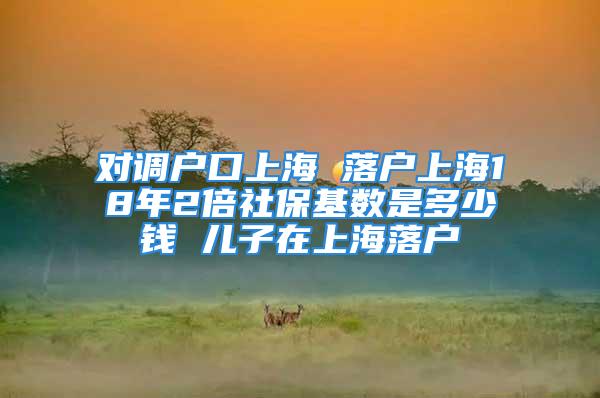 對調(diào)戶口上海 落戶上海18年2倍社?；鶖?shù)是多少錢 兒子在上海落戶