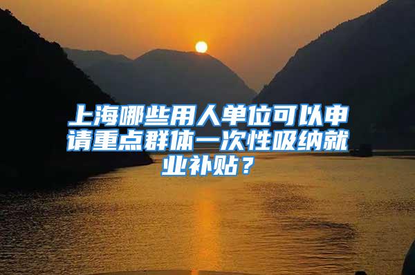 上海哪些用人單位可以申請重點群體一次性吸納就業(yè)補貼？