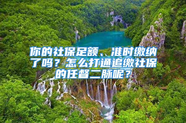 你的社保足額、準時繳納了嗎？怎么打通追繳社保的任督二脈呢？