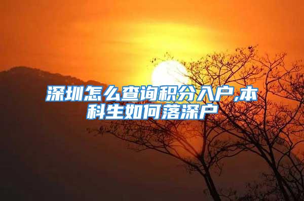 深圳怎么查詢積分入戶,本科生如何落深戶