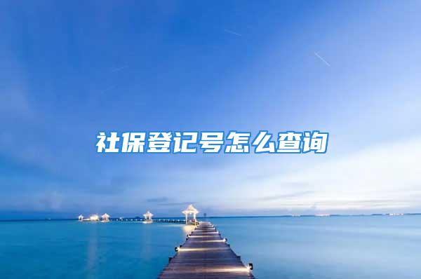 社保登記號怎么查詢