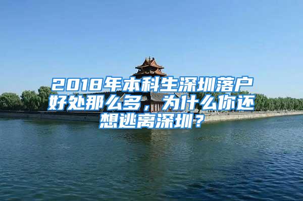 2018年本科生深圳落戶好處那么多，為什么你還想逃離深圳？