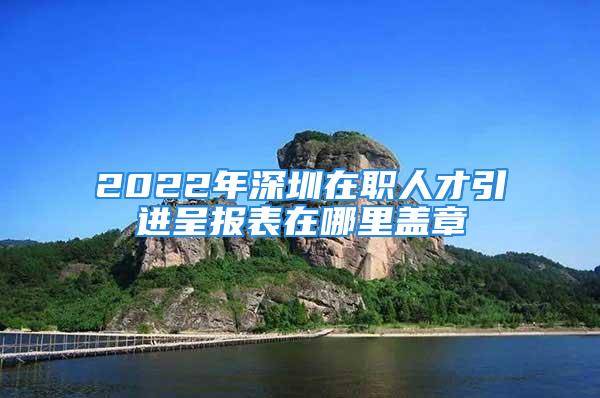 2022年深圳在職人才引進呈報表在哪里蓋章