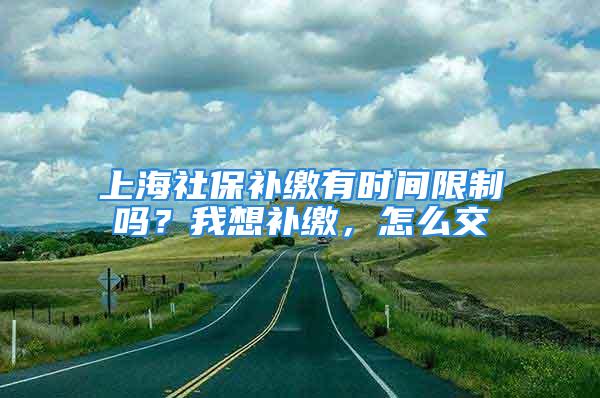 上海社保補(bǔ)繳有時間限制嗎？我想補(bǔ)繳，怎么交