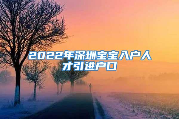 2022年深圳寶寶入戶人才引進(jìn)戶口