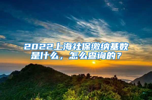 2022上海社保繳納基數(shù)是什么，怎么查詢的？