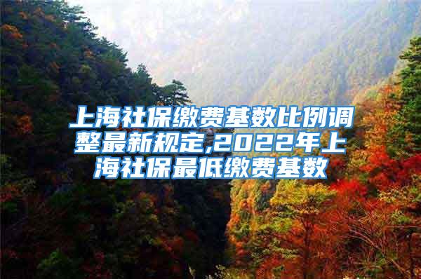 上海社保繳費(fèi)基數(shù)比例調(diào)整最新規(guī)定,2022年上海社保最低繳費(fèi)基數(shù)