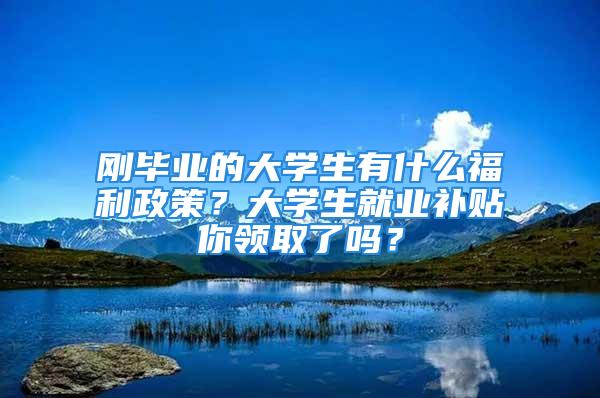 剛畢業(yè)的大學(xué)生有什么福利政策？大學(xué)生就業(yè)補(bǔ)貼你領(lǐng)取了嗎？