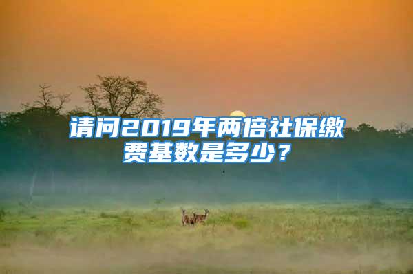 請問2019年兩倍社保繳費基數(shù)是多少？