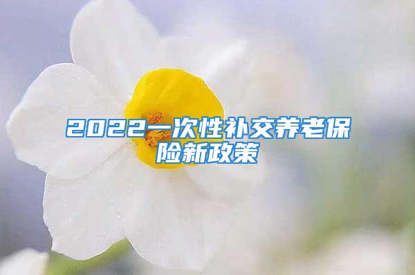 2022一次性補(bǔ)交養(yǎng)老保險(xiǎn)新政策