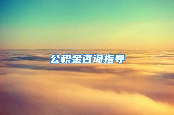 公積金咨詢指導(dǎo)