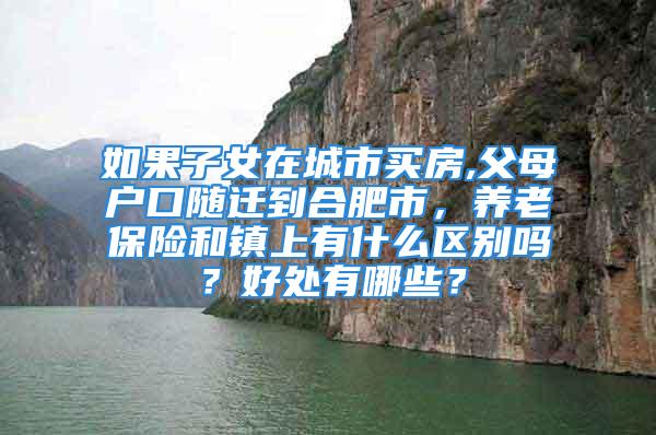 如果子女在城市買房,父母戶口隨遷到合肥市，養(yǎng)老保險(xiǎn)和鎮(zhèn)上有什么區(qū)別嗎？好處有哪些？